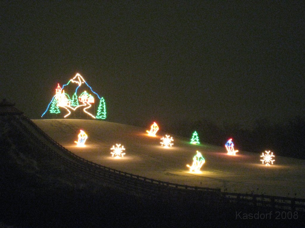 Christmas Lights Hines Drive 2008 050.jpg - The 2008 Wayne County Hines Drive Christmas Light Display. 4.5 miles of Christmas Light Displays and lots of animation!